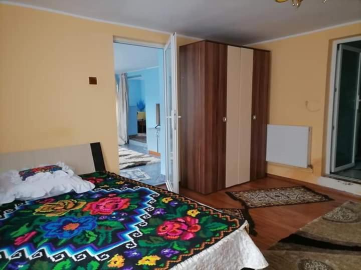 Pensiunea Brezu Sighetu Marmatiei Luaran gambar